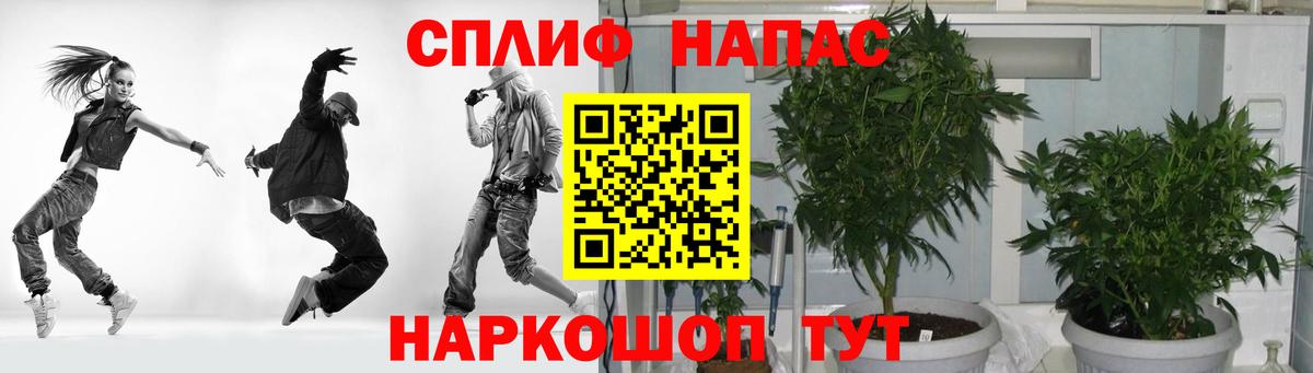Каннабис гибрид  МАРИХУАНА планчик  Бошки марихуана семена  Видное  Вход с VPN 